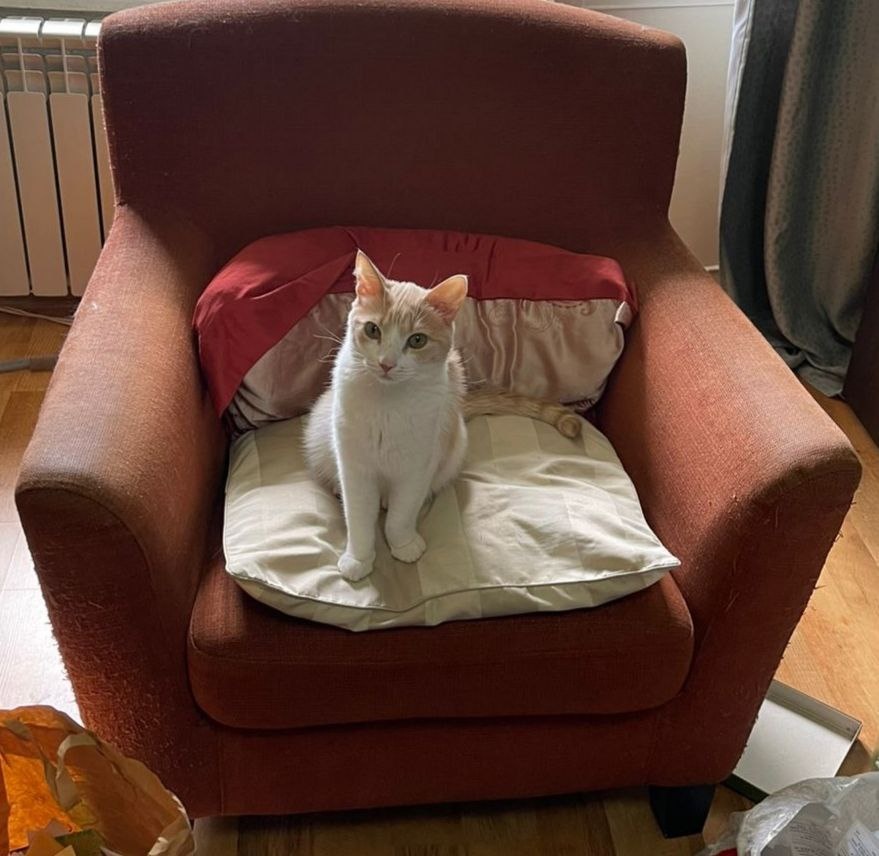 Который не очень понимает, почему он тут и что происходит