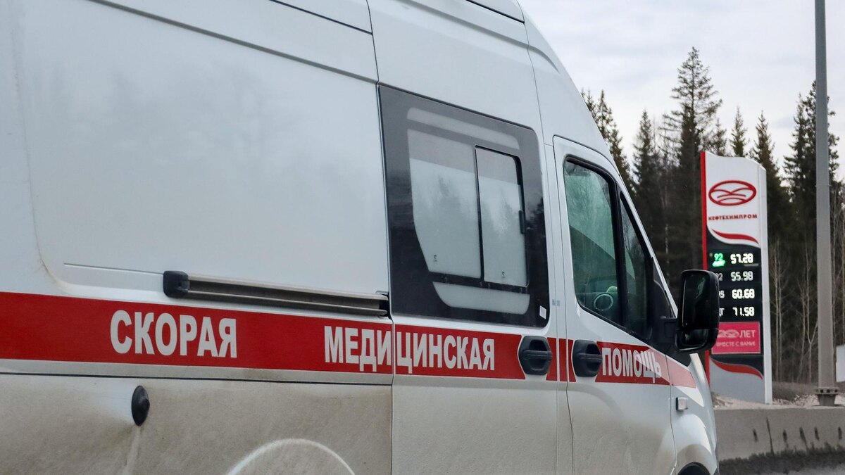    Фото: Elena Mayorova/globallookpress.com