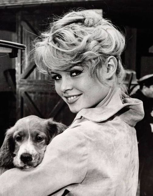 Брижит Бардо