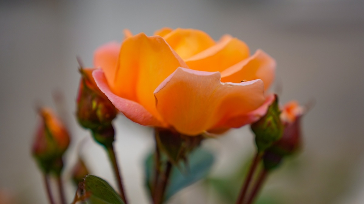 Светлана Мулыкина📷
