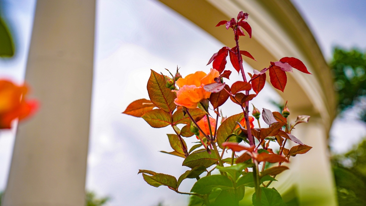 Светлана Мулыкина📷
