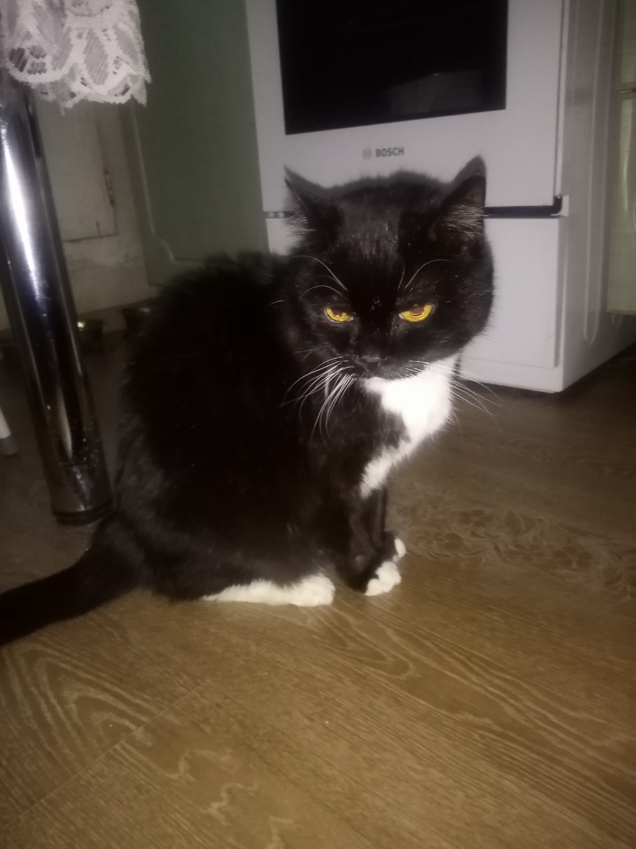 Фото автора. 