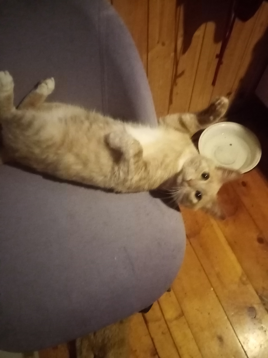 Фото автора. 