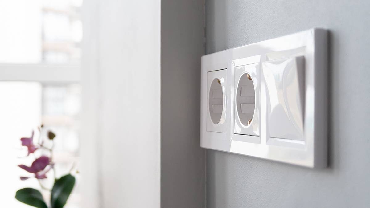    Фото: Shutterstock