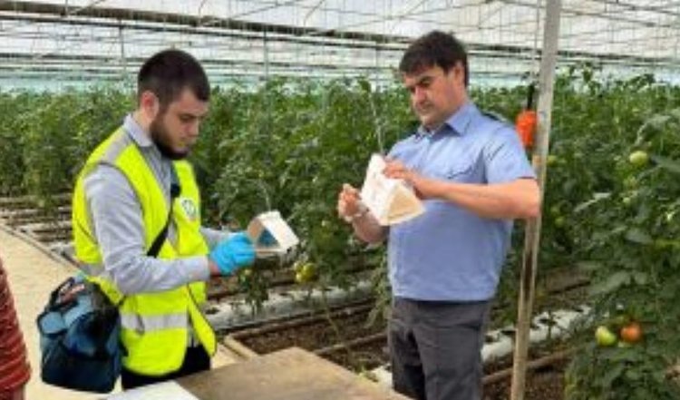    Фото: Россельхознадзор РФ