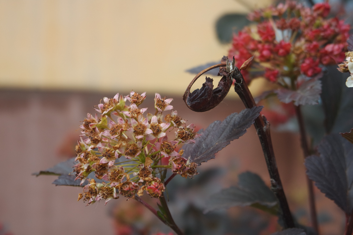 листать вправо