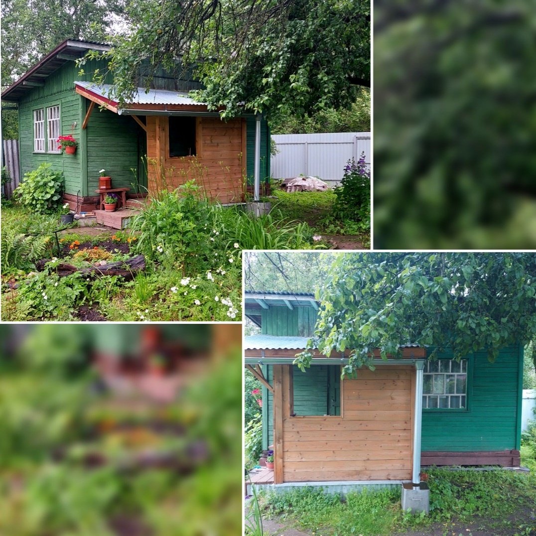 Фото автора.