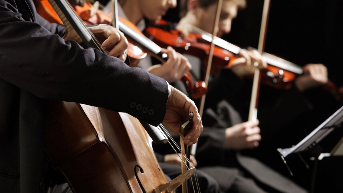    Фото: Stokkete/Shutterstock/Fotodom