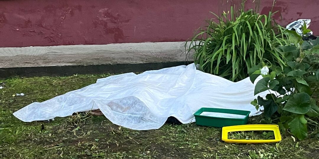 В горящей пятиэтажке в Новосибирске погибло десять домашних животных