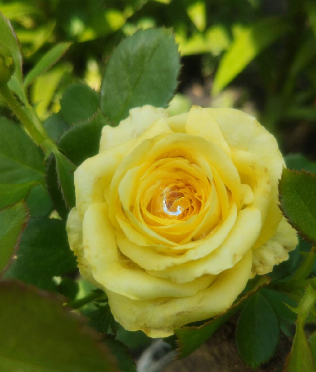 фото Татьяны