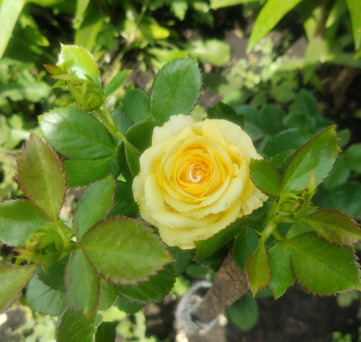 фото Татьяны