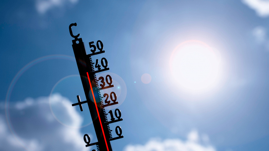    Фото: www.globallookpress.com/IMAGO/Michael Weber IMAGEPOWER; 5-tv.ru