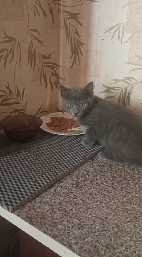 Апрель (Грэй)