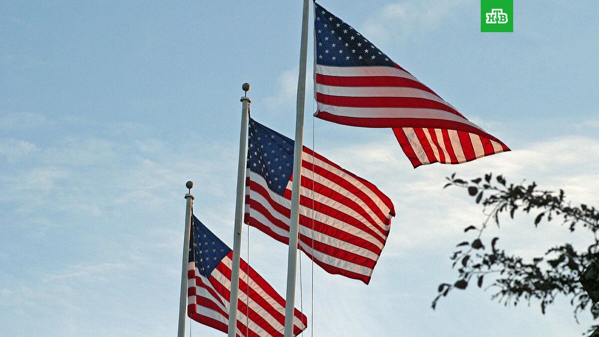    Фото: Karl Callwood / unsplash.com