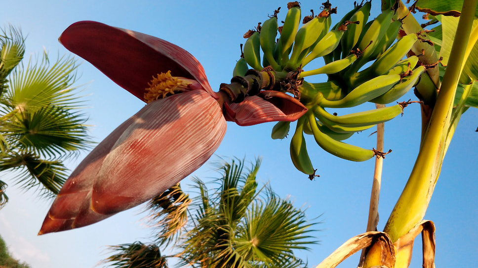 Фото: Анатолий Жданов / Коммерсантъ