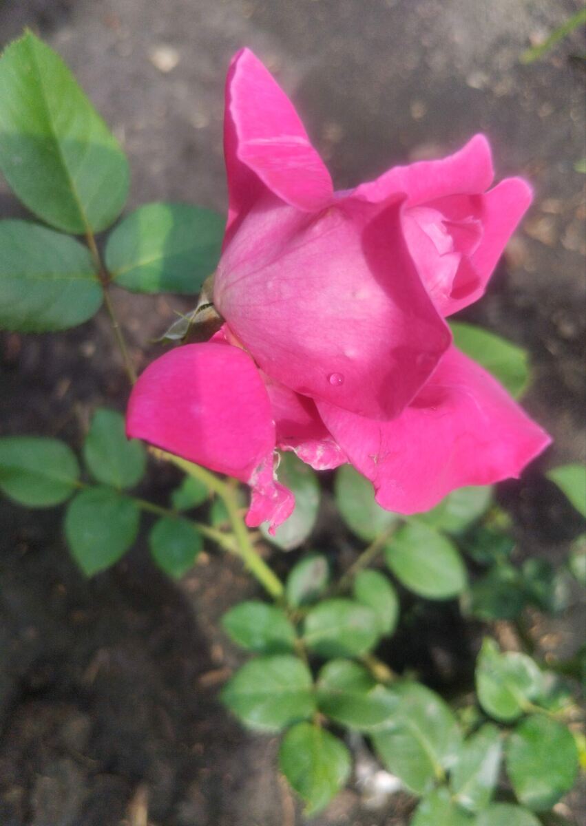 фото Татьяны