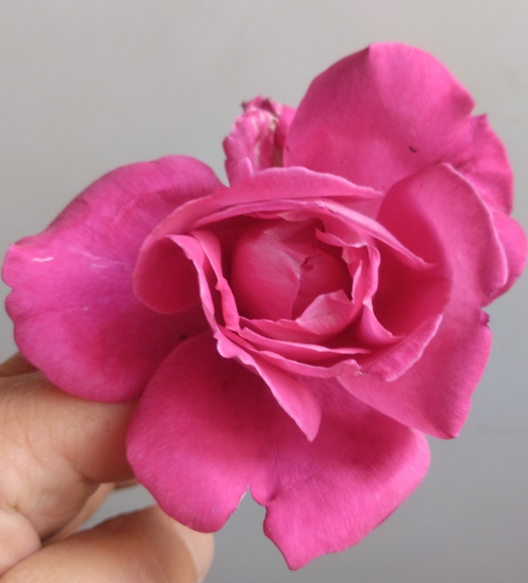 фото Татьяны