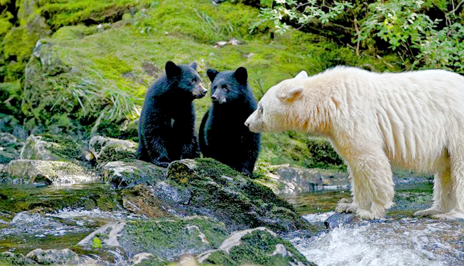 Источник фото: ru.pinterest.com