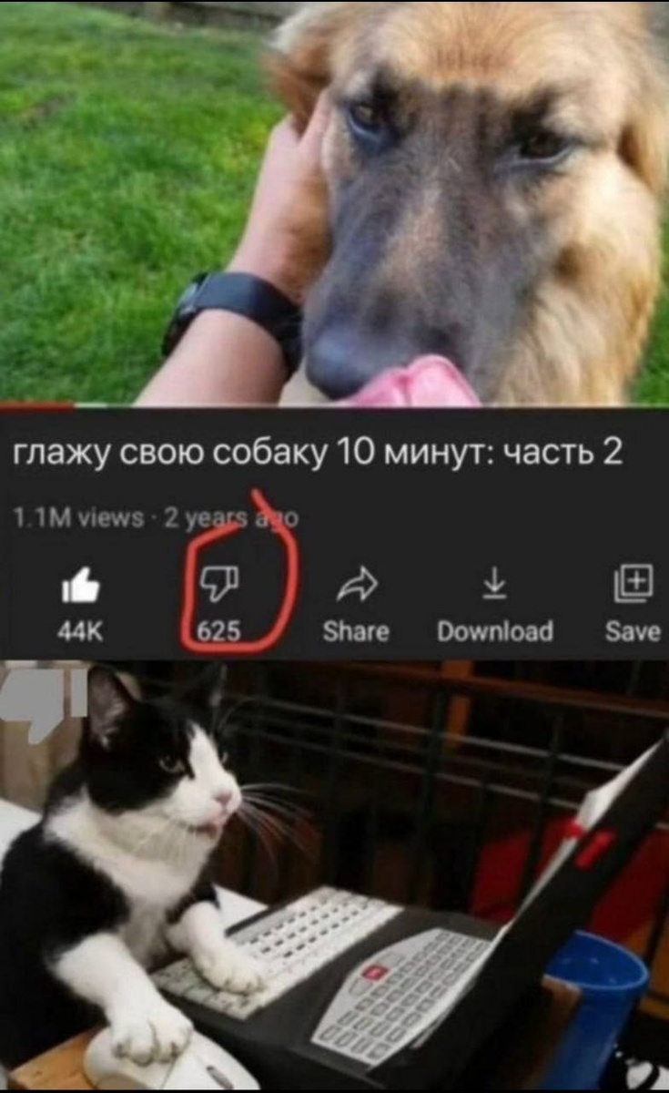 Мем про поглаживания из открытых источников. 