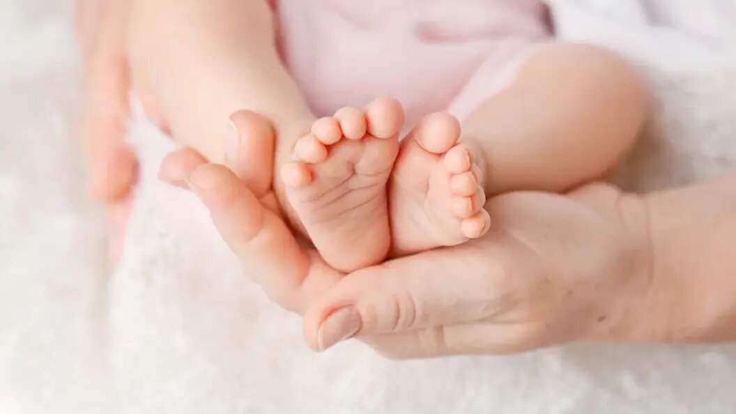    Фото: коллаж Царьграда