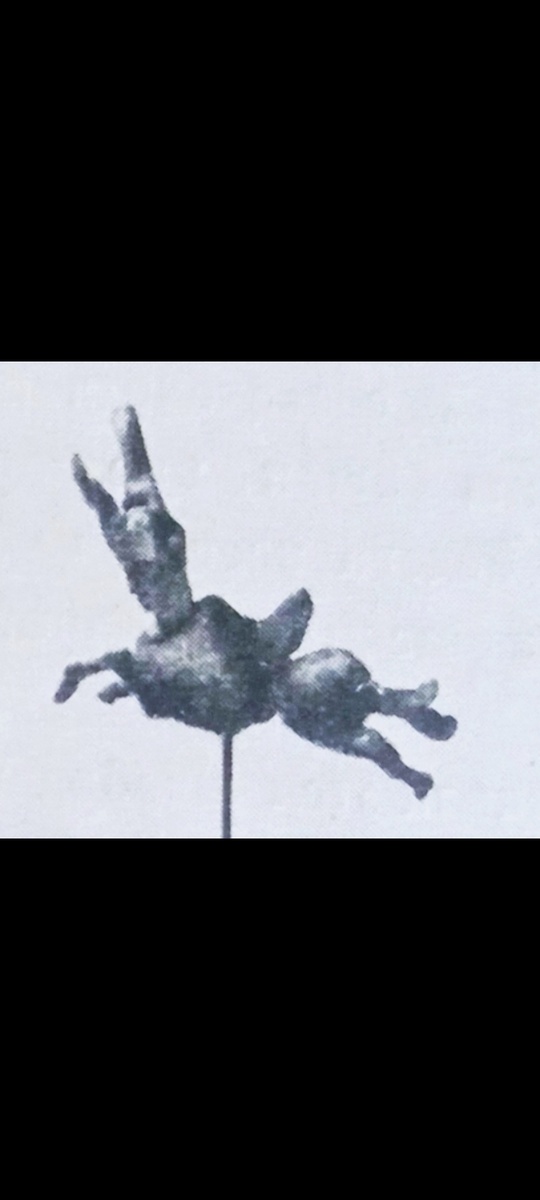 Скрин с фото.