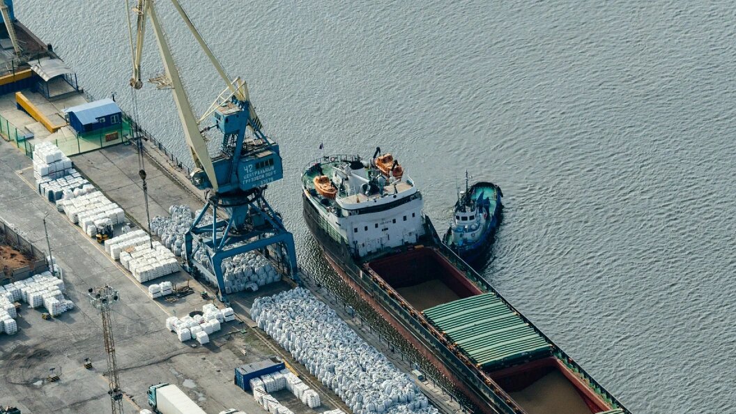    Фото: Serguei Fomine/Globallookpress