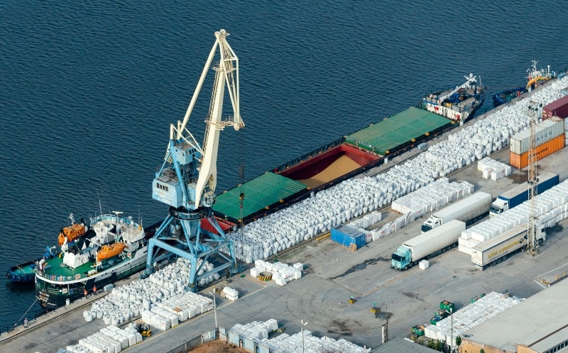    Фото: Serguei Fomine/Globallookpress