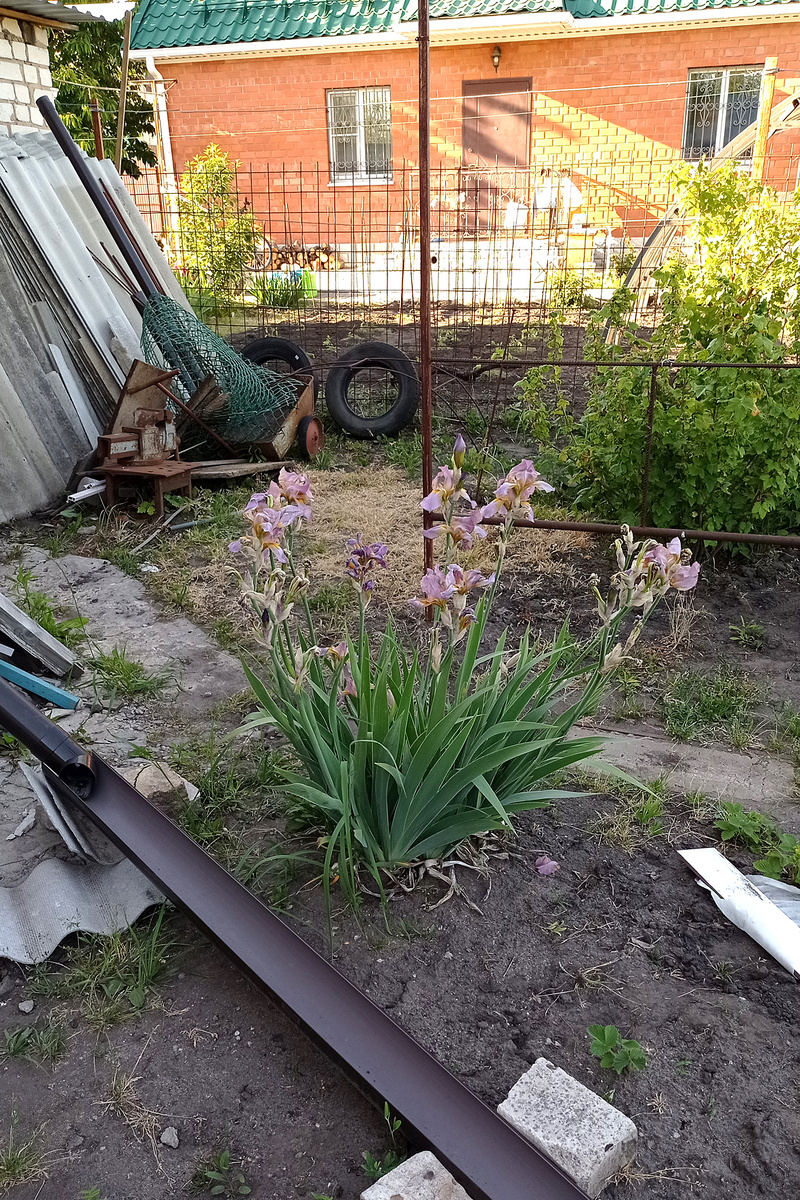 2023-2024 гг. В галерее несколько неприглядных фото