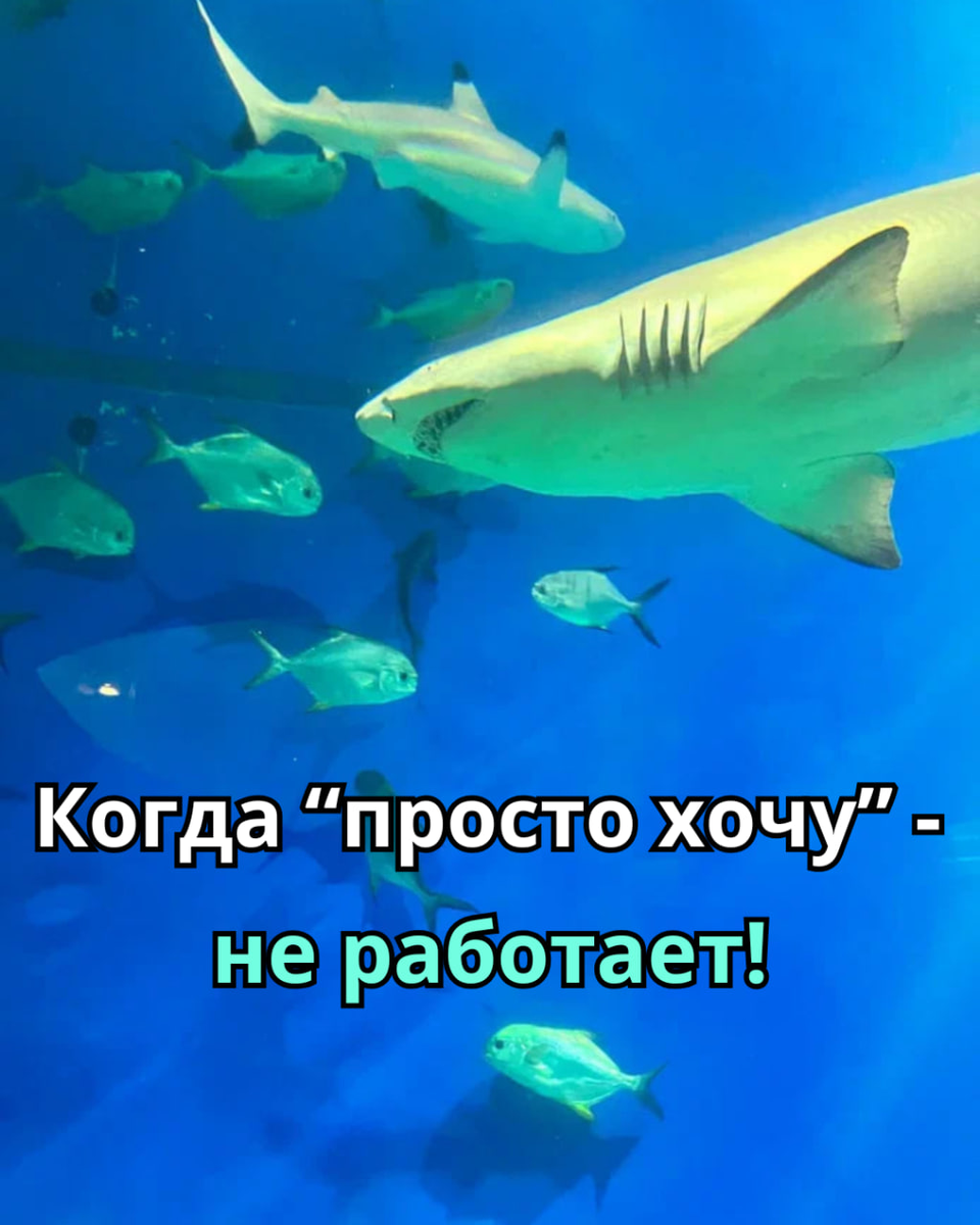 Личный архив