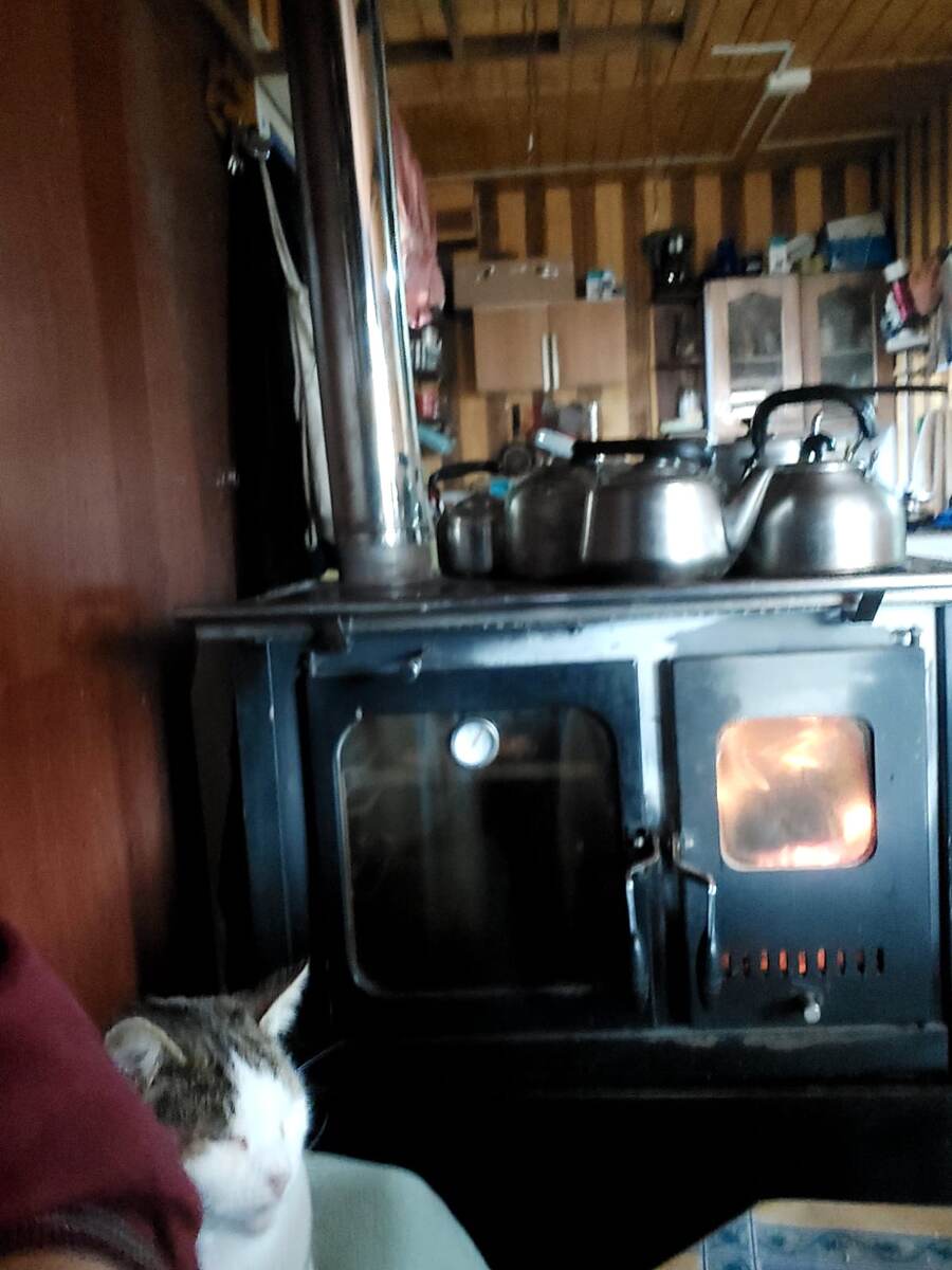 Молли греется