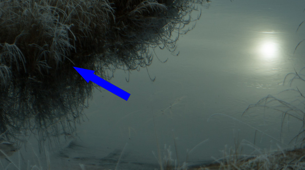    Тайна болотных призраков света