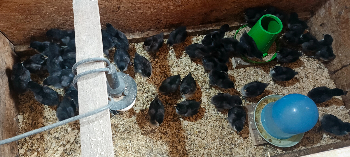 Все в сборе