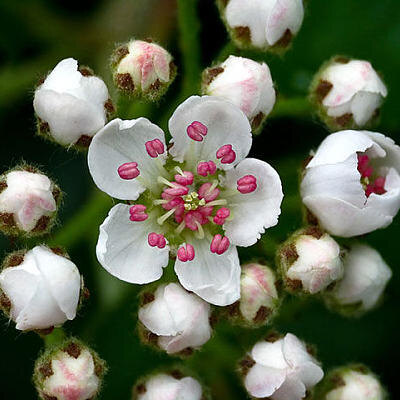 Фото Евгении Зайцевой