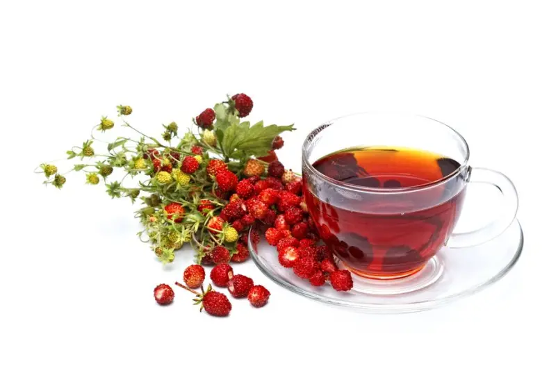 Чашка чая с лесной земляникой
