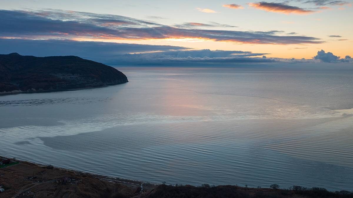    Фото: Shutterstock