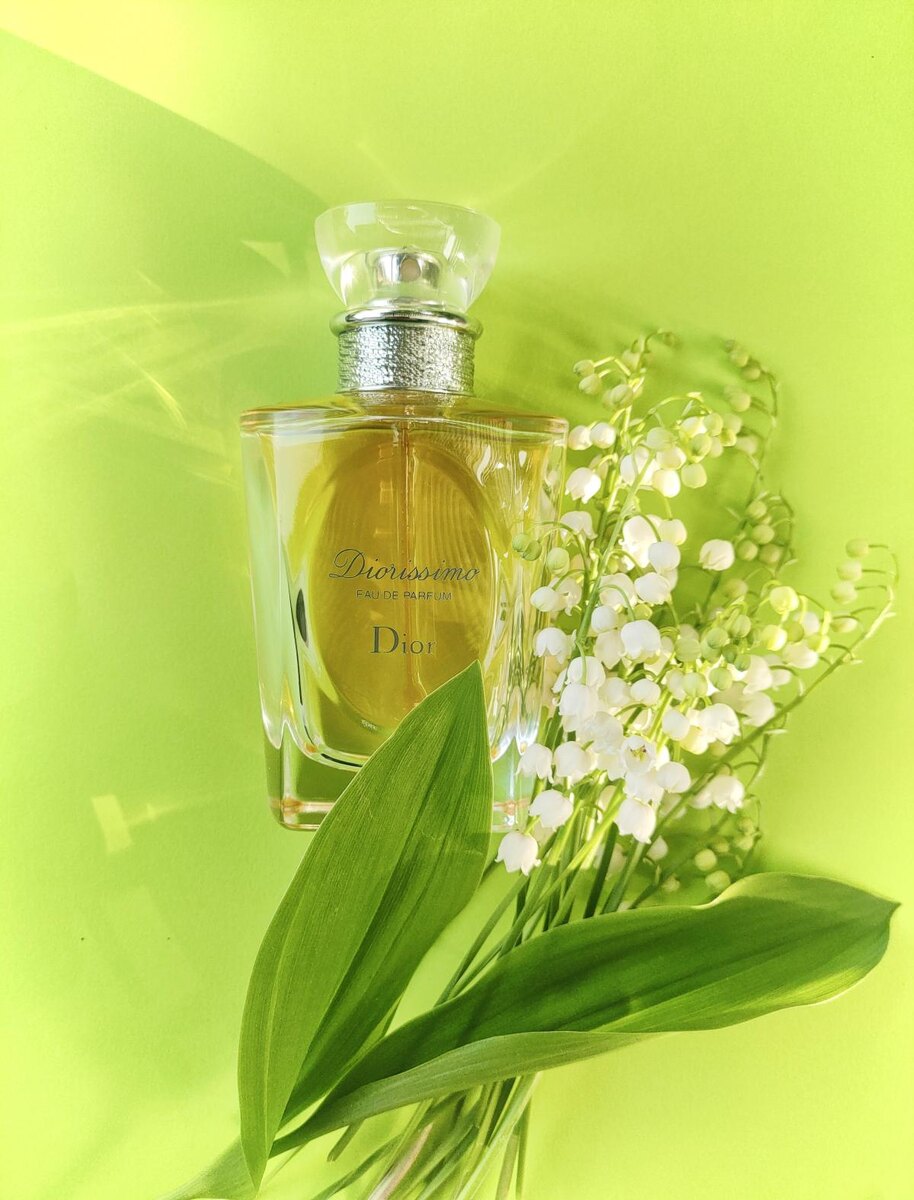 Фото взято из открытого источника.