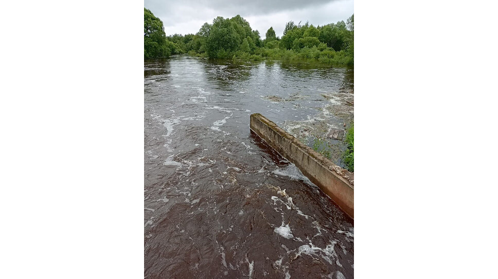 Фото: Прокуратура Ярославской области