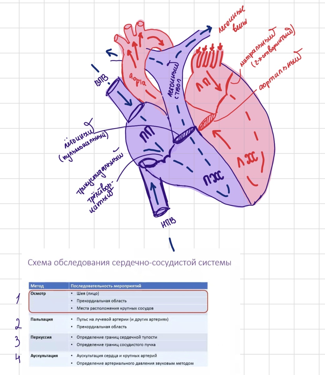 Примеры конспектов