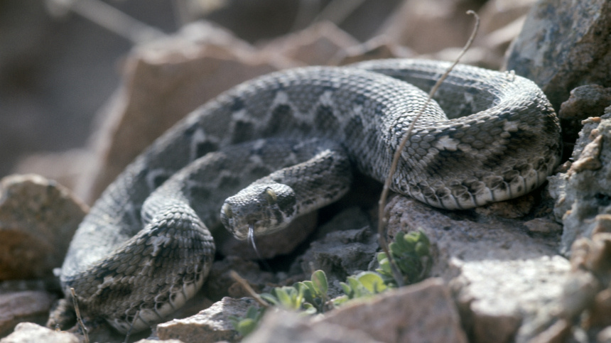    Фото: © РИА Новости/Устинов