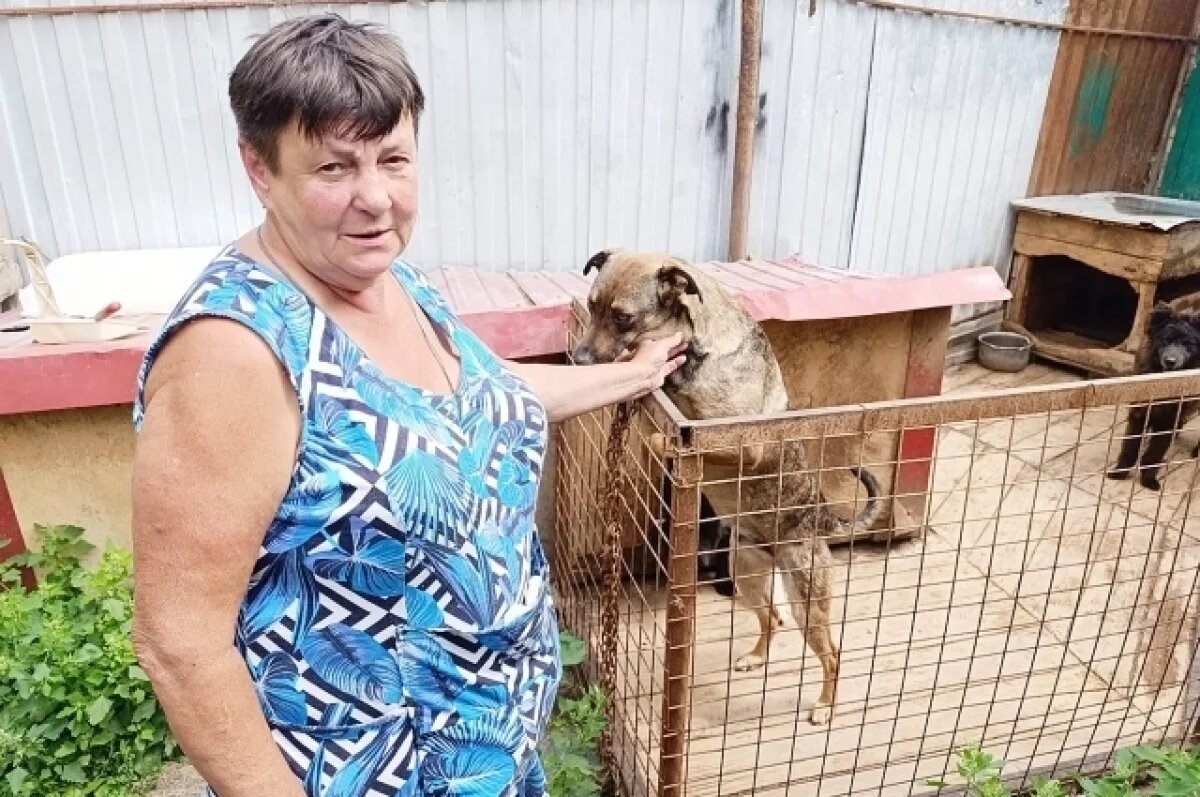    Кошкин дом.