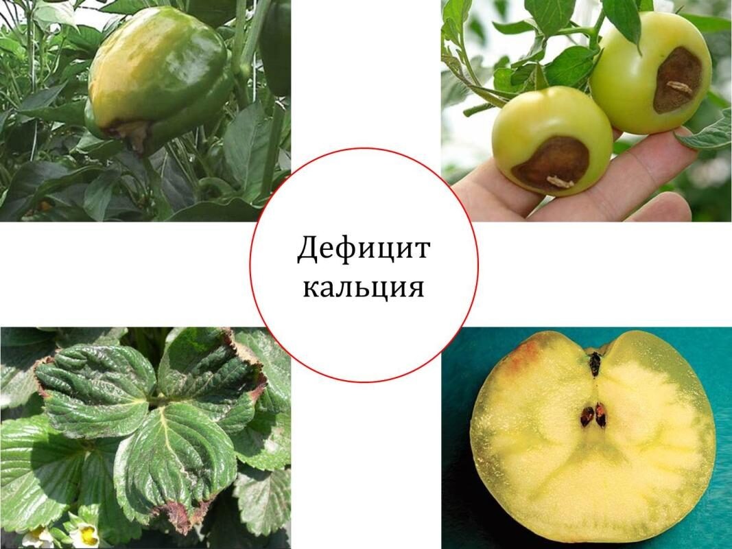 Взято из открытых источников