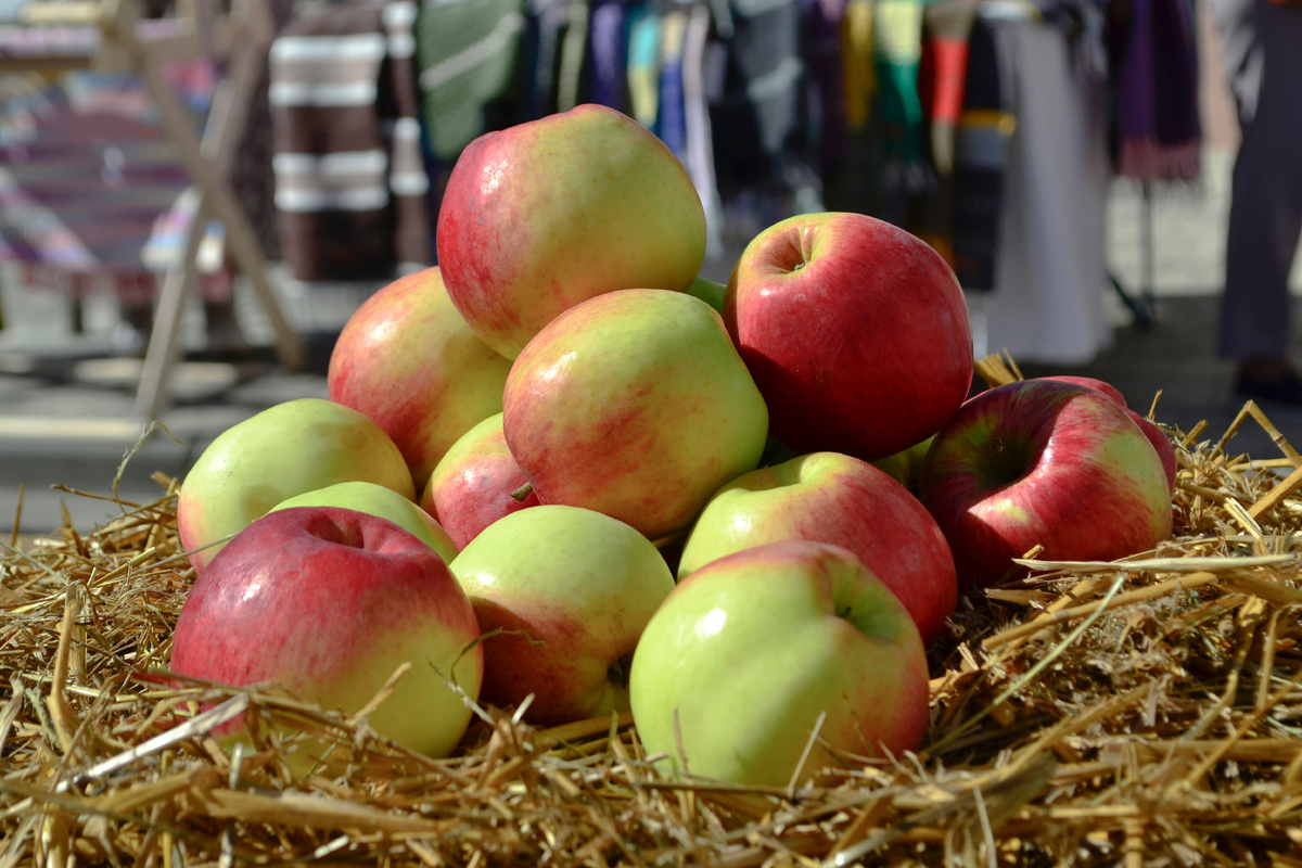 Photo by https://unsplash.com/@ksushaphoto
      