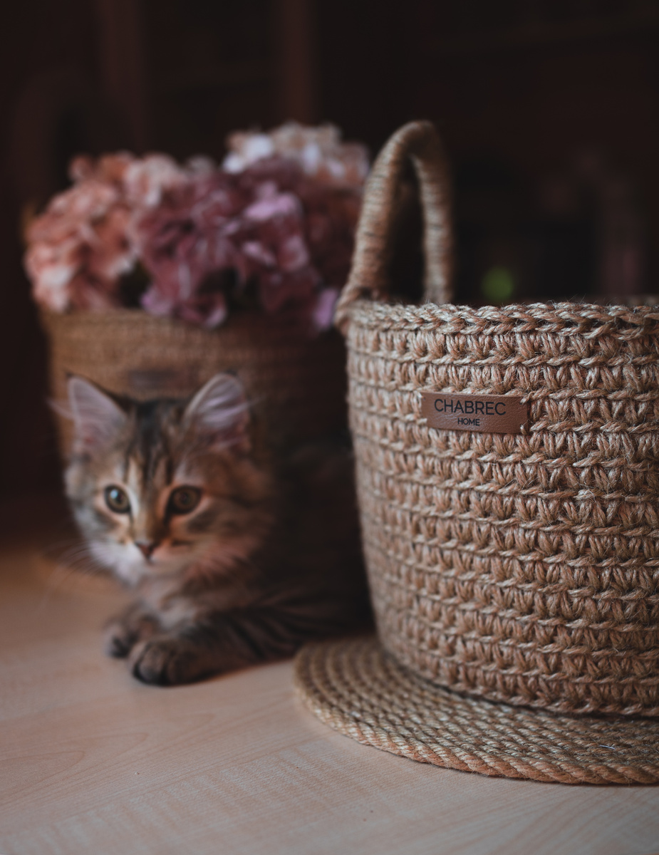 Джутовые корзины и моя помощница Муся)