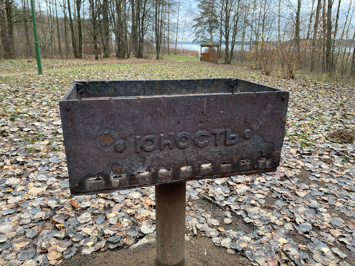 У "Юности" большая территория для прогулок, отдыха на природе.  