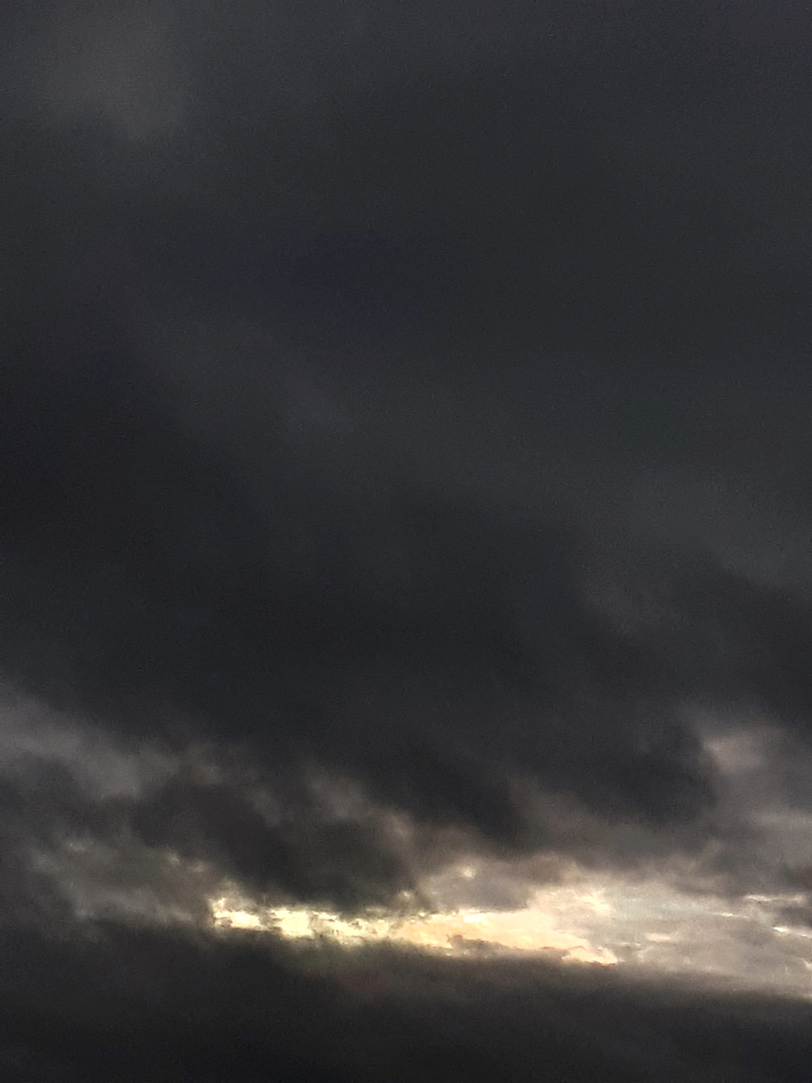 Фото автора 01.07.2025г.