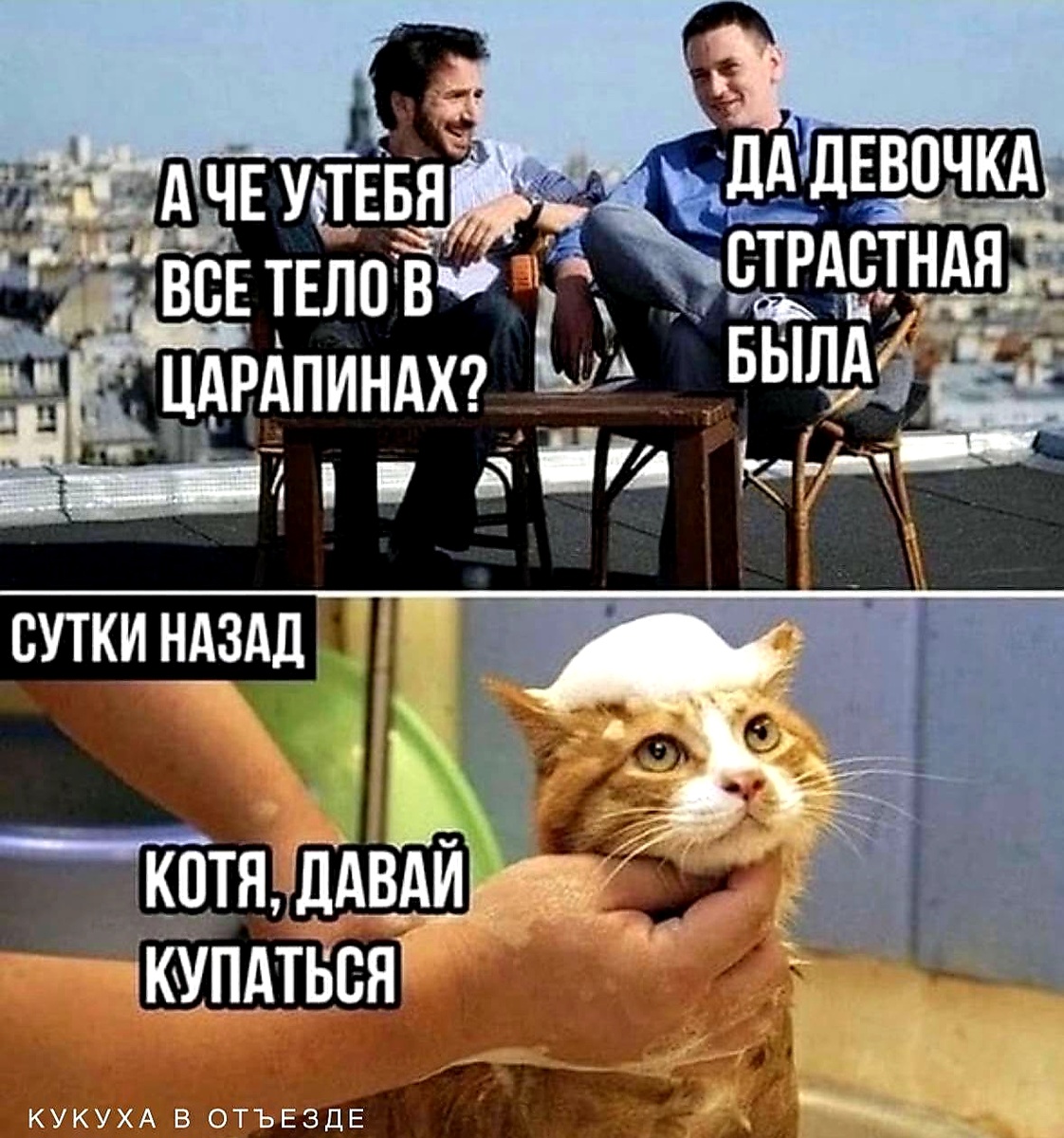 Открытый доступ. Интернет