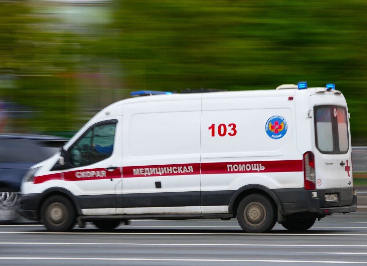     / Источник: © ИЗВЕСТИЯ/Дмитрий Коротаев