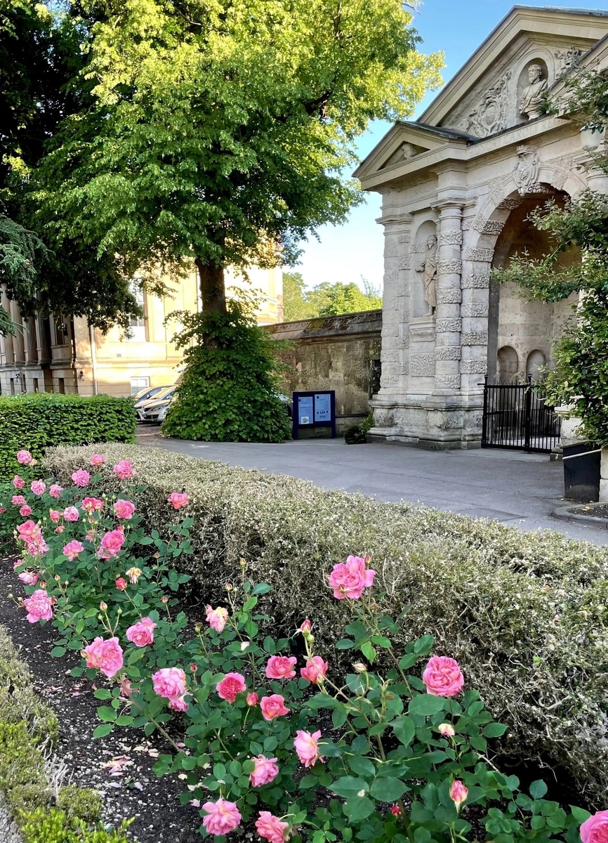 Екатерина Свешникова