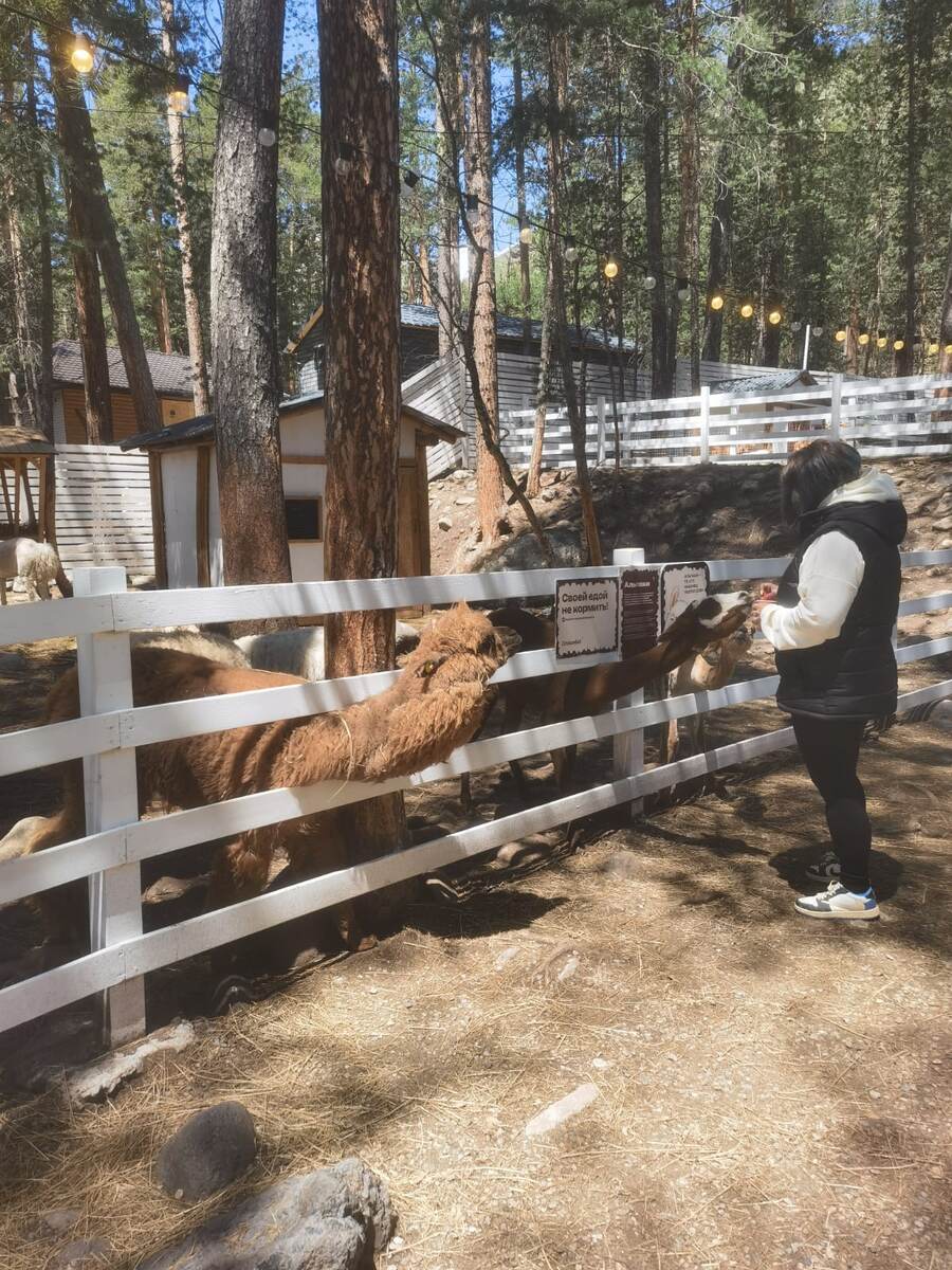 Парк Альпак, Терскол