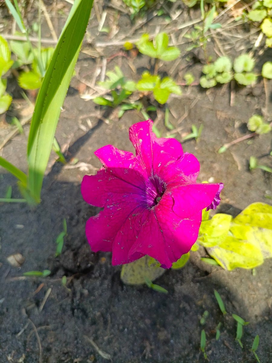 Фото автора.